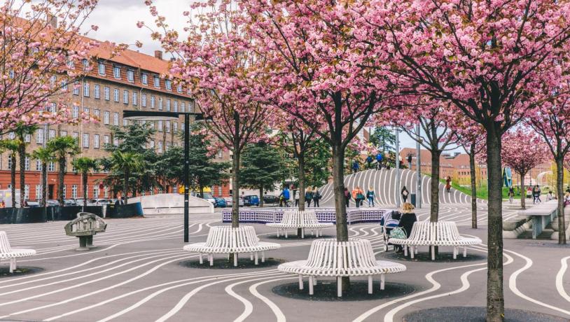 La place noire dans le parc Superkilen à Nørrebro (Copenhague)