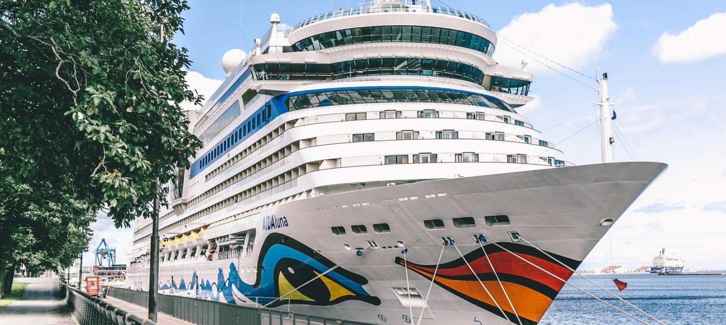 Cruise