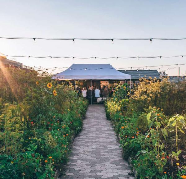 GRO Spiseri and rooftop farm in Østerbro